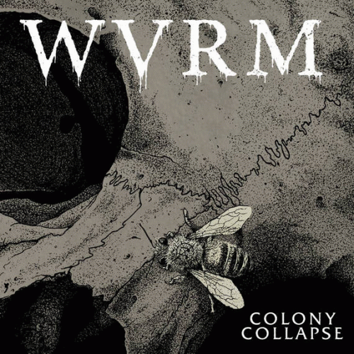 WVRM : Colony Collapse